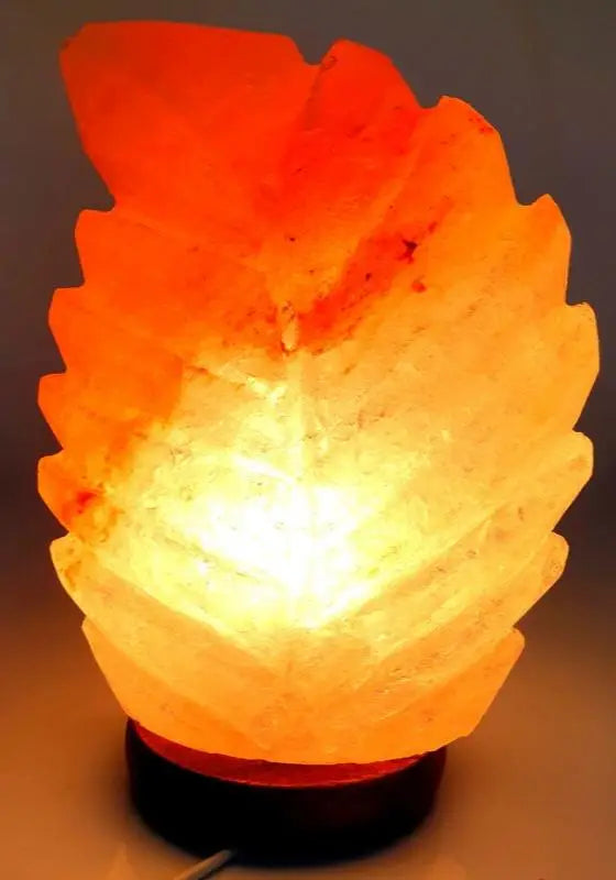 Lampe de Sel - Feuille  Ethnique déco