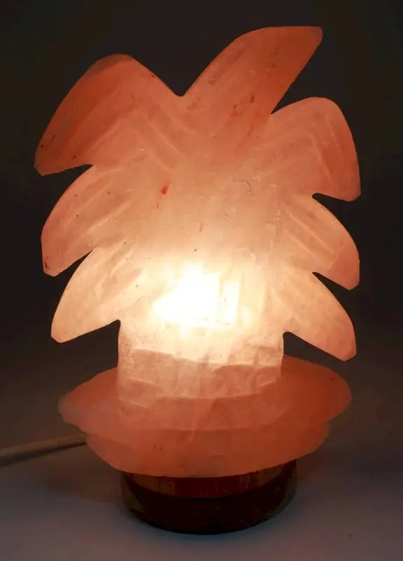 Lampe de Sel - Palmier  Ethnique déco