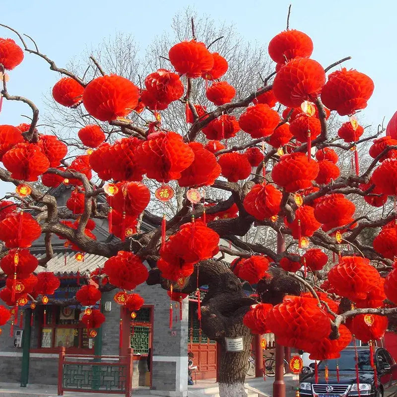 Lanterne Chinoise - Les 10 Flamboyantes  Ethnique déco