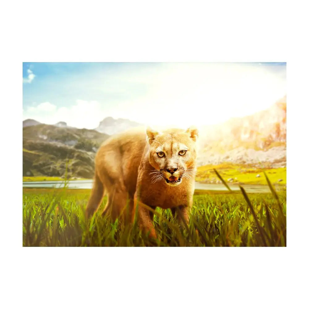 Papier Peint Animaux - Attention Puma  Ethnique déco