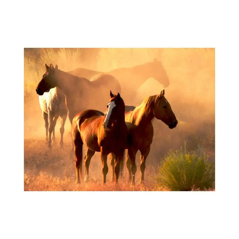 Papier Peint Animaux - Chevaux Sauvages  Ethnique déco