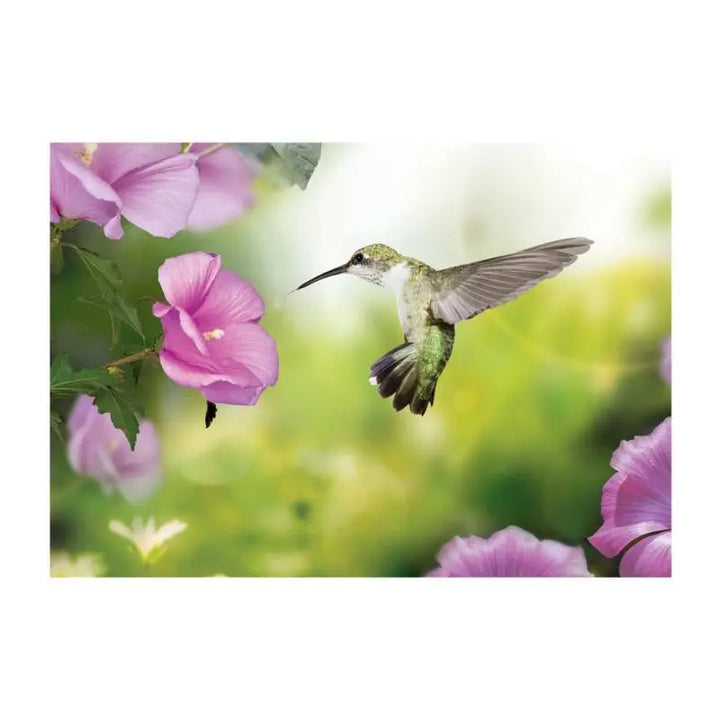 Papier Peint Animaux - Colibri Matinal  Ethnique déco