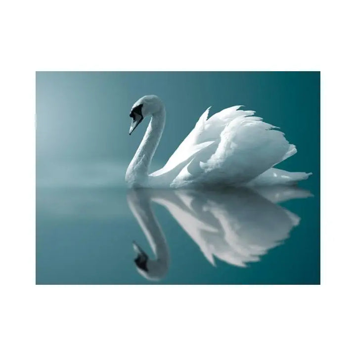 Papier Peint Animaux - Cygne Blanc  Ethnique déco