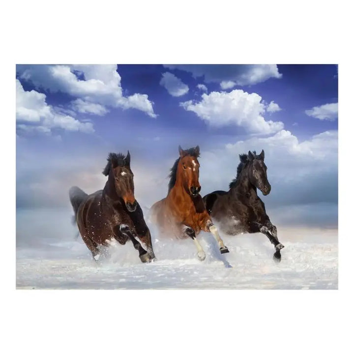 Papier Peint Animaux - Galop  Ethnique déco