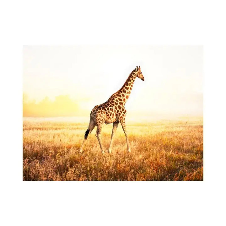 Papier Peint Animaux - Promenade Girafe  Ethnique déco