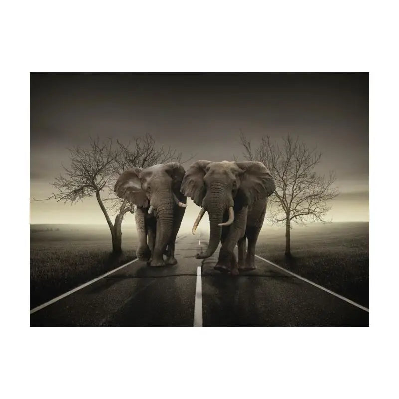 Papier Peint Animaux - Règne Éléphant  Ethnique déco
