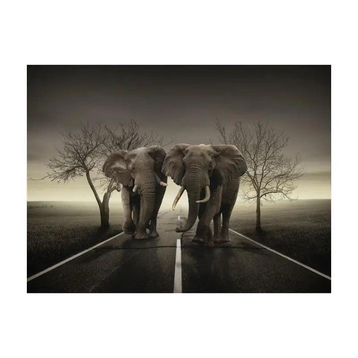 Papier Peint Animaux - Règne Éléphant  Ethnique déco